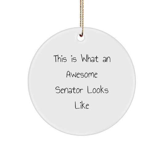Funny Senator Gifts for Christmas - 'This Is What An Awesome Senator Looks Like' Circle Ornament, Gifts from Family to Senator, Senator Circle Ornament, Senator Gifts for Men - Image 1