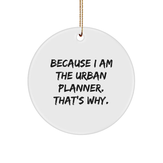 Urban Planner Gifts from Friends, Gifts for Urban Planners - Because I Am The Urban Planner. That's Why. - Circle Ornament - Image 1