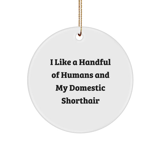 Domestic Shorthair Cat Gifts, Funny Quote Ornaments, Circle Shape, White, Gifts from Friends, Gifts for Men, Women, Family, Christmas Unique Gifts - Image 1