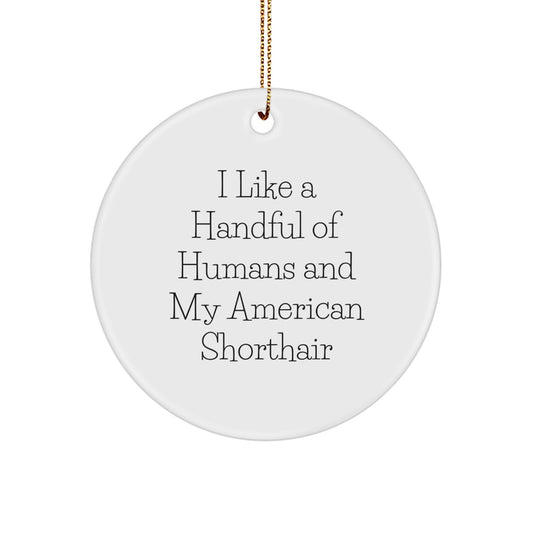 American Shorthair Cat Lovers' Circle Ornament, Funny Quote, White, Gifts for Family, Christmas Unique Gifts from Mom - Image 1