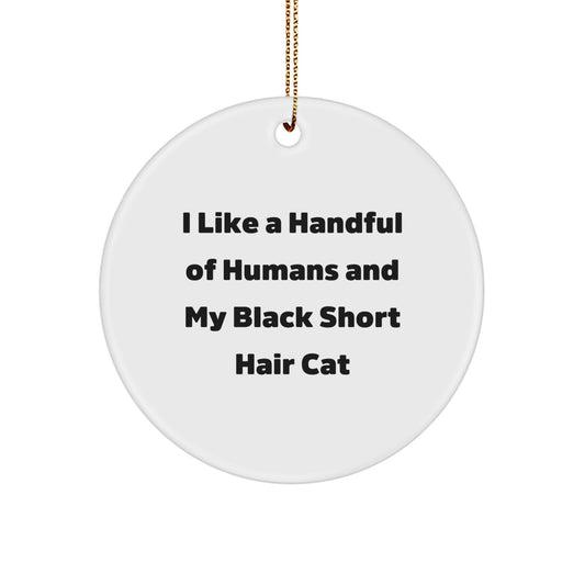 Funny Black Short Hair Cat Gifts from Friends for Christmas Circle Ornament, I Like A Handful Of Humans And My Black Short Hair Cat - Image 1