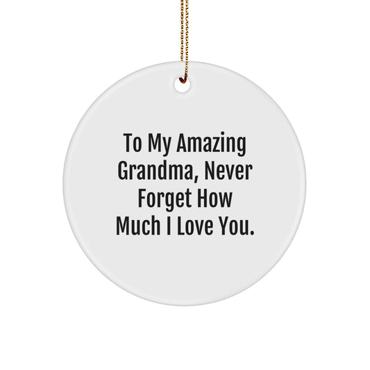 Gifts from Family, To My Amazing Grandma, Circle Ornament for Grandma's Birthday, Christmas Unique Gift for Grandma, 'Never Forget How Much I Love You' - Image 1