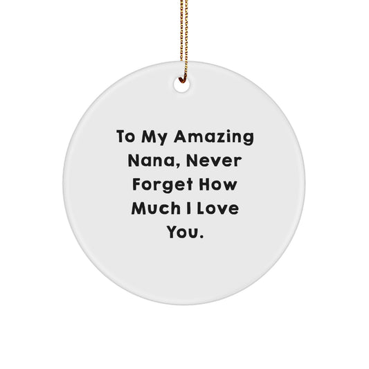 Gifts from Family to My Amazing Nana, Funny Circle Ornament for Christmas,
        Nana Gifts for Her, Circle Ornament with Inspirational Quote - Image 1