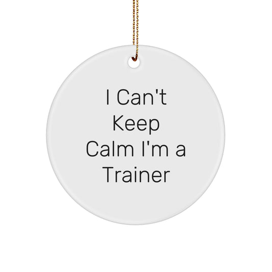 Funny Trainer Gifts from Friends - 'I Can't Keep Calm I'm A Trainer' Circle Ornament, Trainer Decor for Men and Women, Christmas Unique Gifts - Image 1