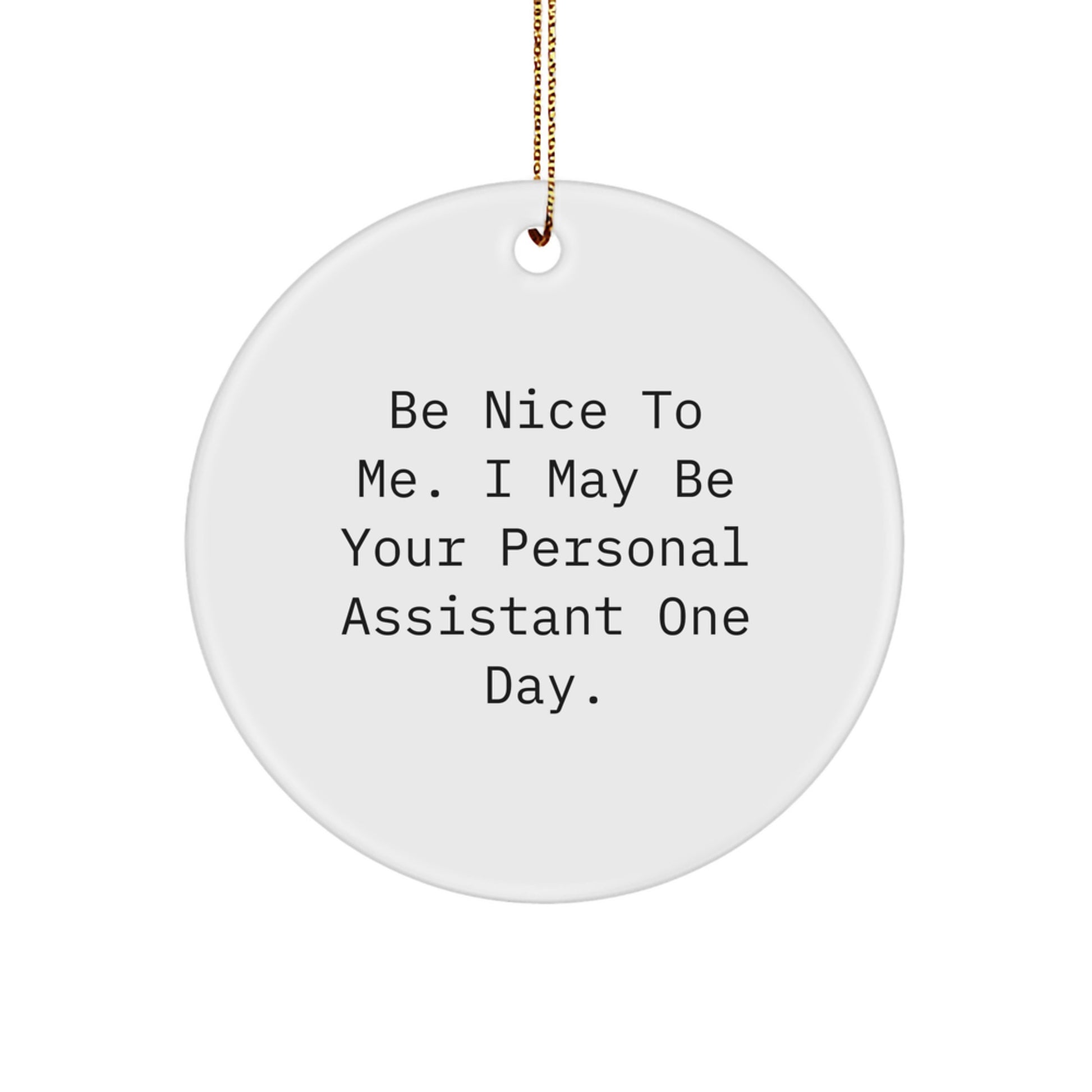 Funny Personal Assistant Gifts from Friends, Coworkers, or Family - Be Nice To Me. I May Be Your Personal Assistant One Day. Circle Ornament for Christmas - Image 1