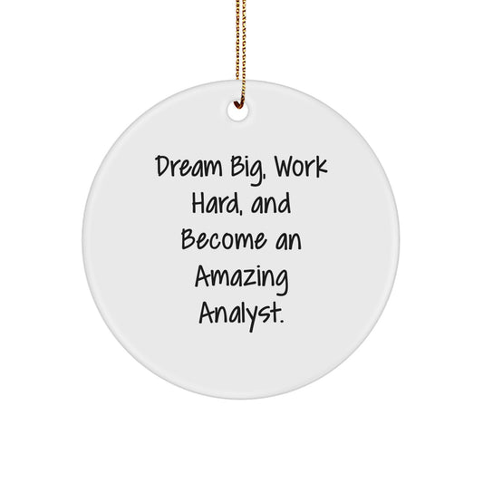 Inspirational Analyst Gifts from Friends - Dream Big, Work Hard, And Become Amazing - Christmas Circle Ornament for Men, Women, Family - Image 1