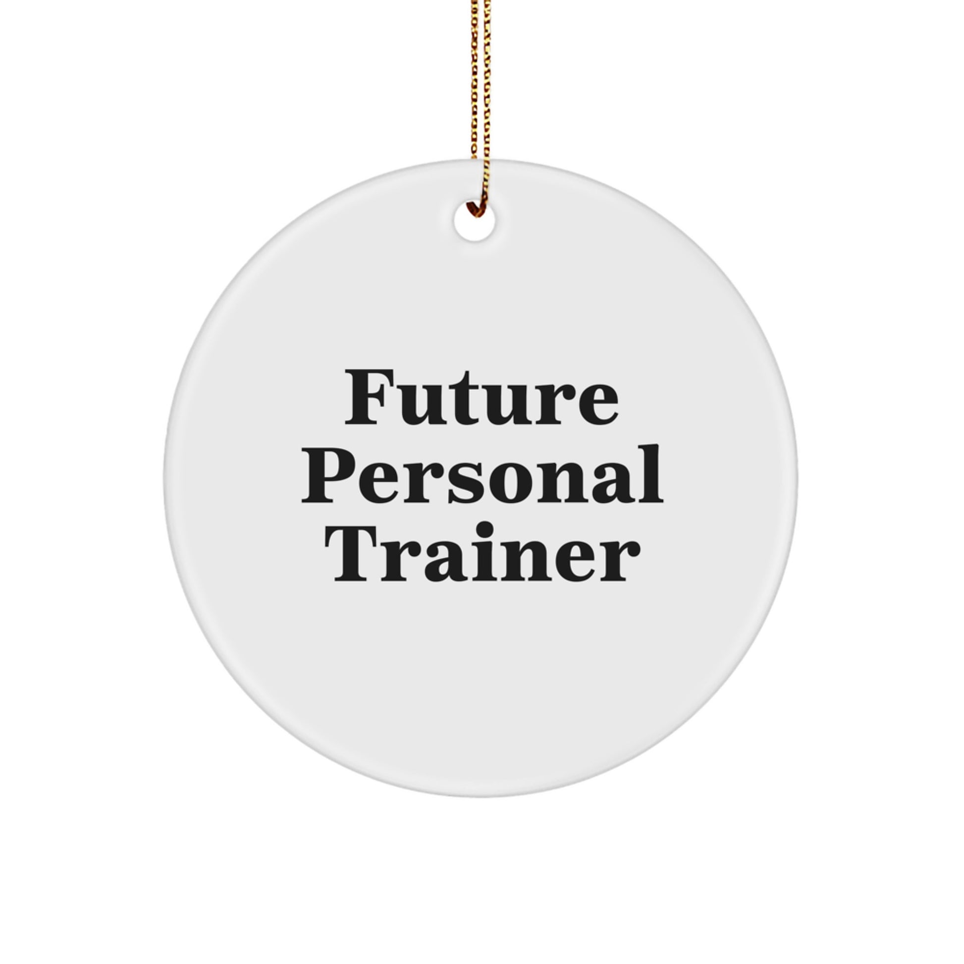 Gifts from Friends - Funny Quote for Future Personal Trainers, Circle Ornament for Christmas - Personal Trainer Gifts for Men, Women, Friends, Coworkers, Family - Image 1
