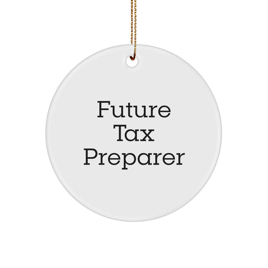 Gifts from Friends for Future Tax Preparer - Funny Quote Circle Ornament, White, Christmas Unique - Image 1