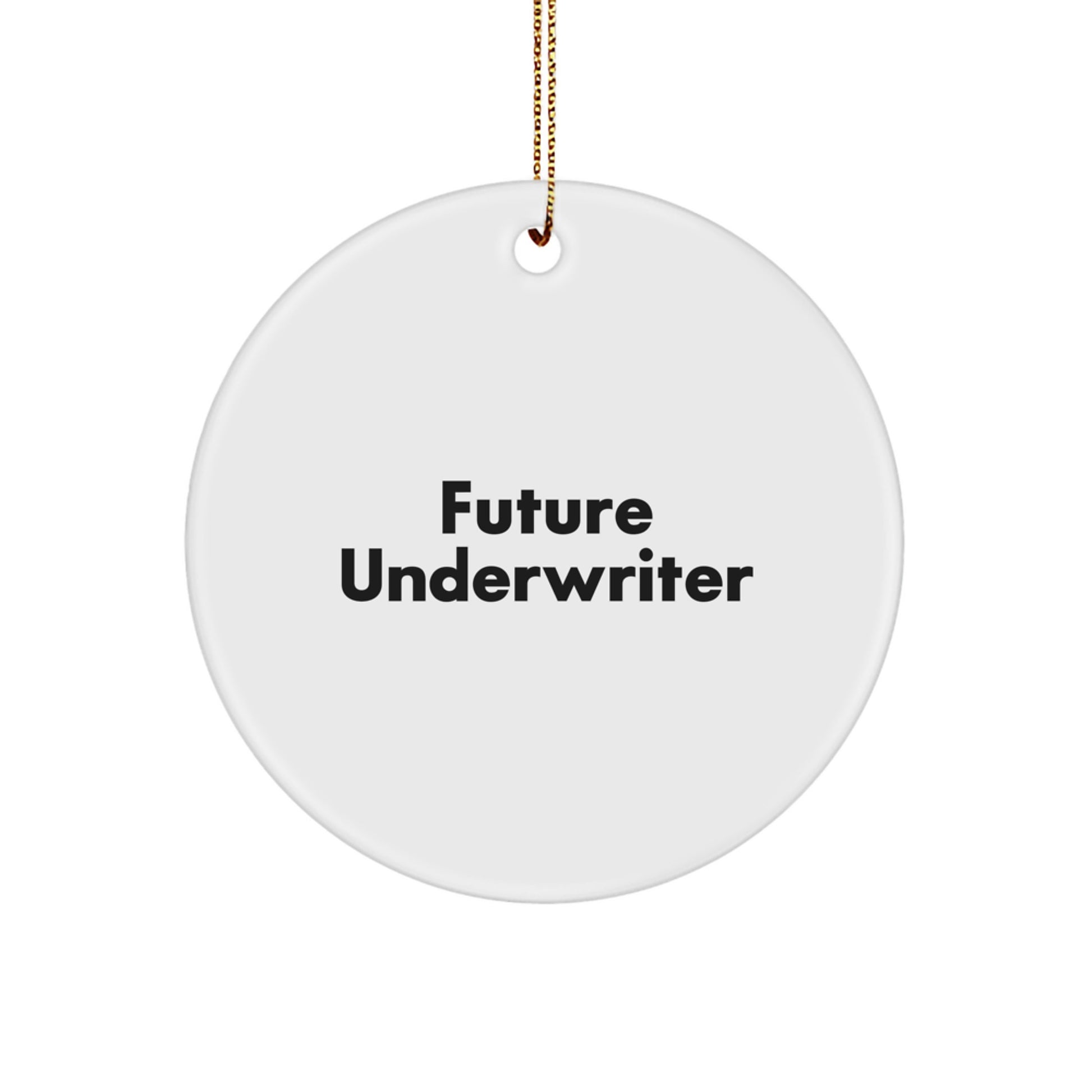 Funny Underwriter Gifts, 'Future Underwriter' Quote Circle Ornament, Gifts from Men to Women, Family, or Coworkers for Christmas - Image 1