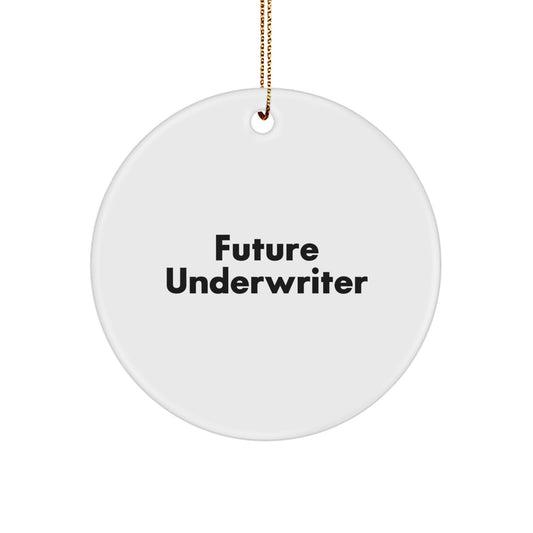 Funny Underwriter Gifts, 'Future Underwriter' Quote Circle Ornament, Gifts from Men to Women, Family, or Coworkers for Christmas - Image 1