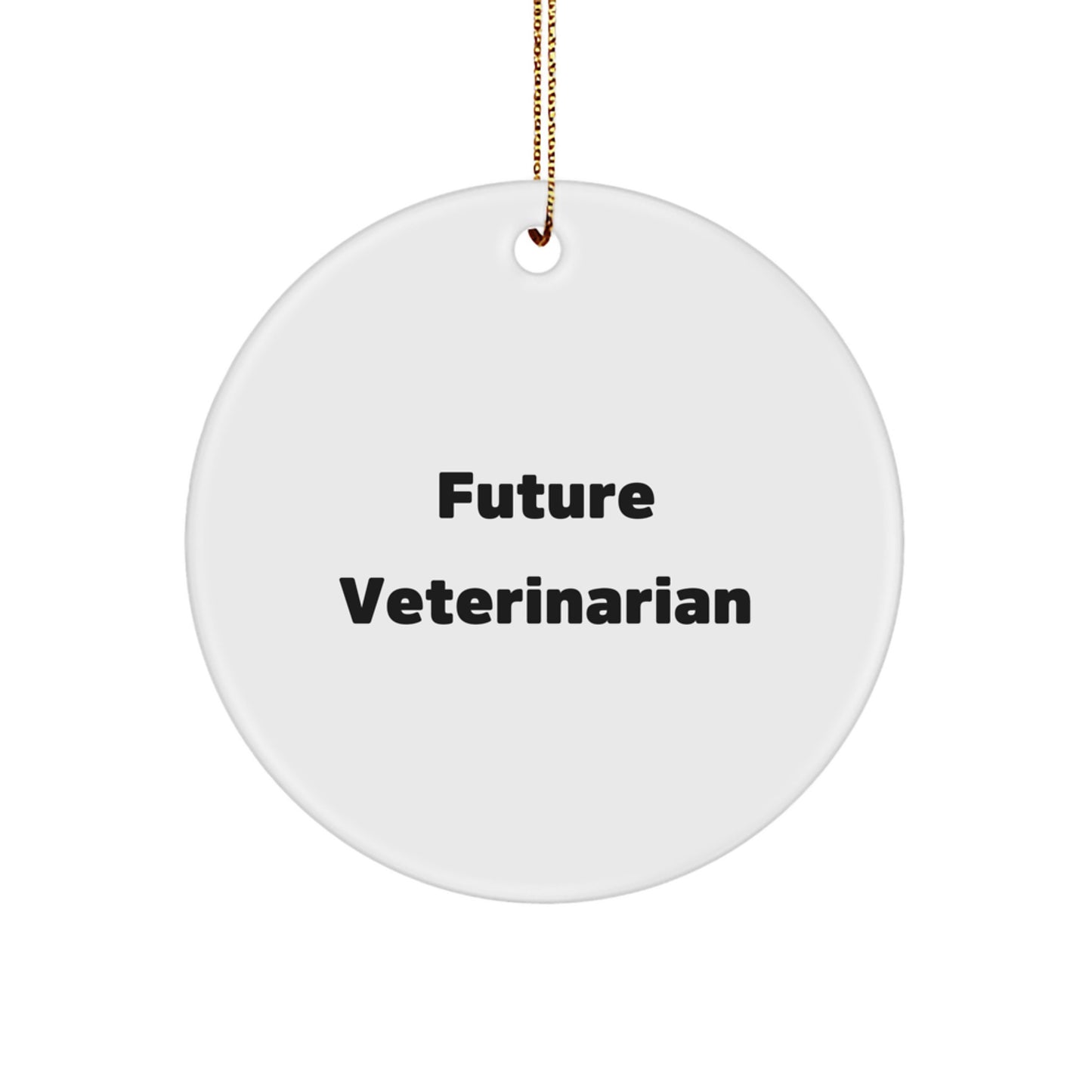 Funny Veterinarian Gifts from Friends for Future Veterinarian - Circle Ornament, Inspirational Quote for Christmas - Image 1