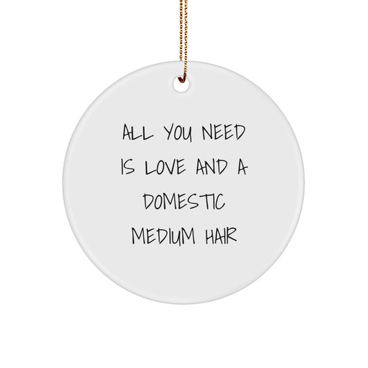 Gifts from Friends for Domestic Medium Hair Cat, All You Need Is Love - White Circle Ornament for Christmas - Image 1