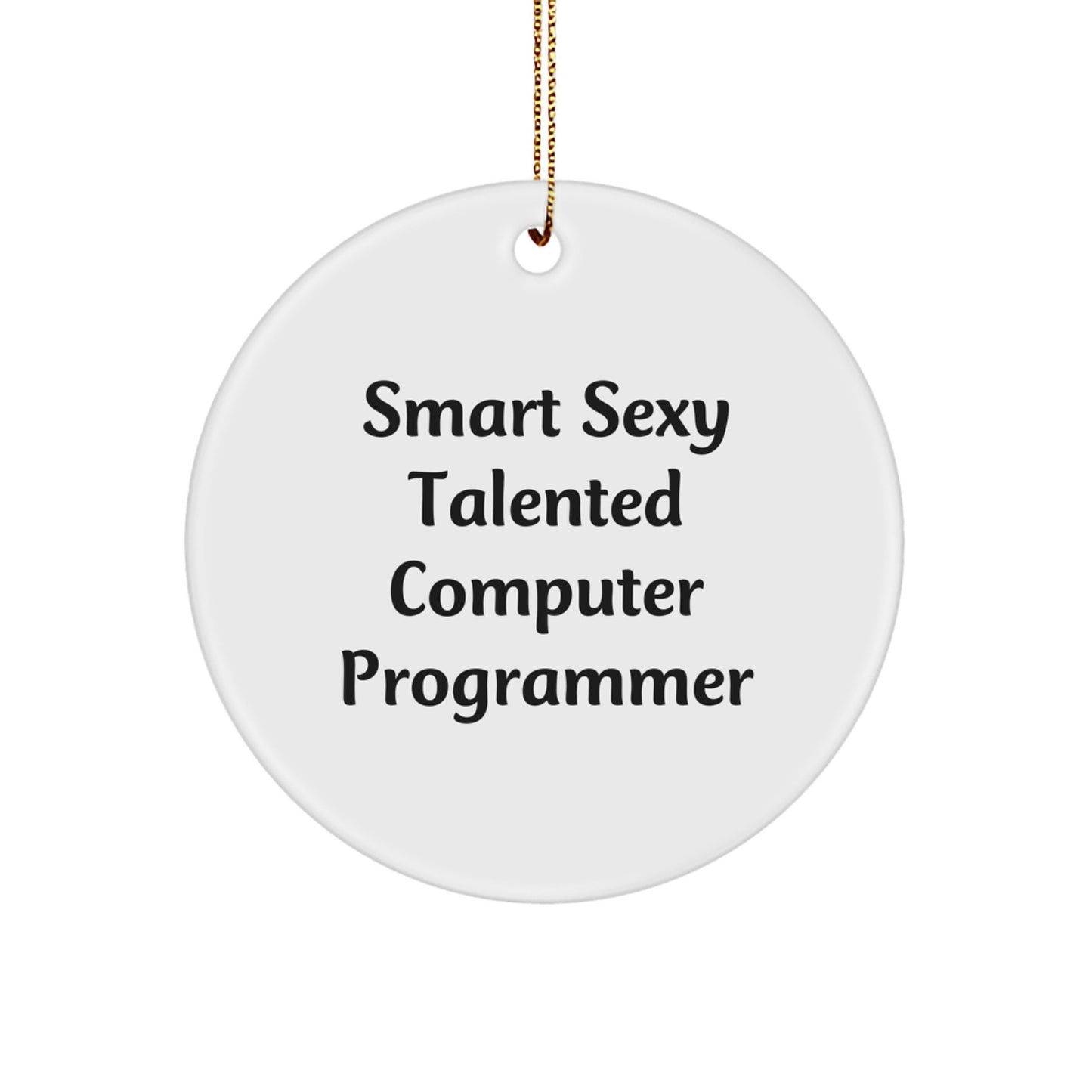 Smart Sexy Talented Computer Programmer Gifts for Men, Women, Friends, Coworkers, and Family - Funny Circle Ornament for Christmas - Image 1