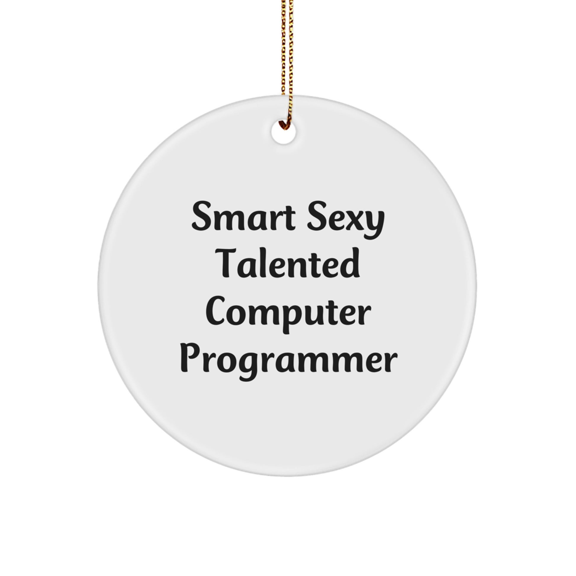 Smart Sexy Talented Computer Programmer Gifts for Men, Women, Friends, Coworkers, and Family - Funny Circle Ornament for Christmas - Image 1