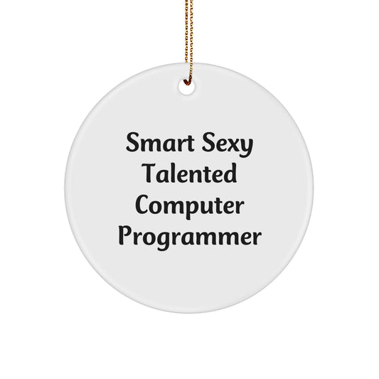 Smart Sexy Talented Computer Programmer Gifts for Men, Women, Friends, Coworkers, and Family - Funny Circle Ornament for Christmas - Image 1