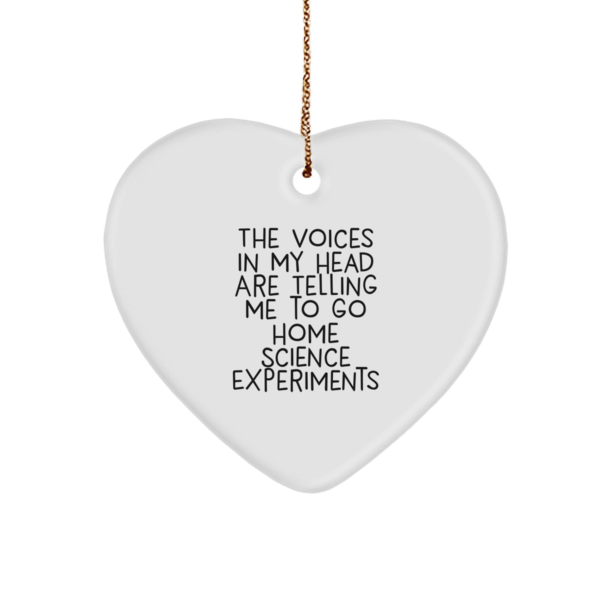 Funny Home Science Experiments Gifts for Men from The Voices In My Head Are Telling Me To Go Home Science Experiments, Heart Ornament for Christmas - Image 1