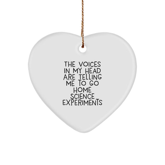 Funny Home Science Experiments Gifts for Men from The Voices In My Head Are Telling Me To Go Home Science Experiments, Heart Ornament for Christmas - Image 1