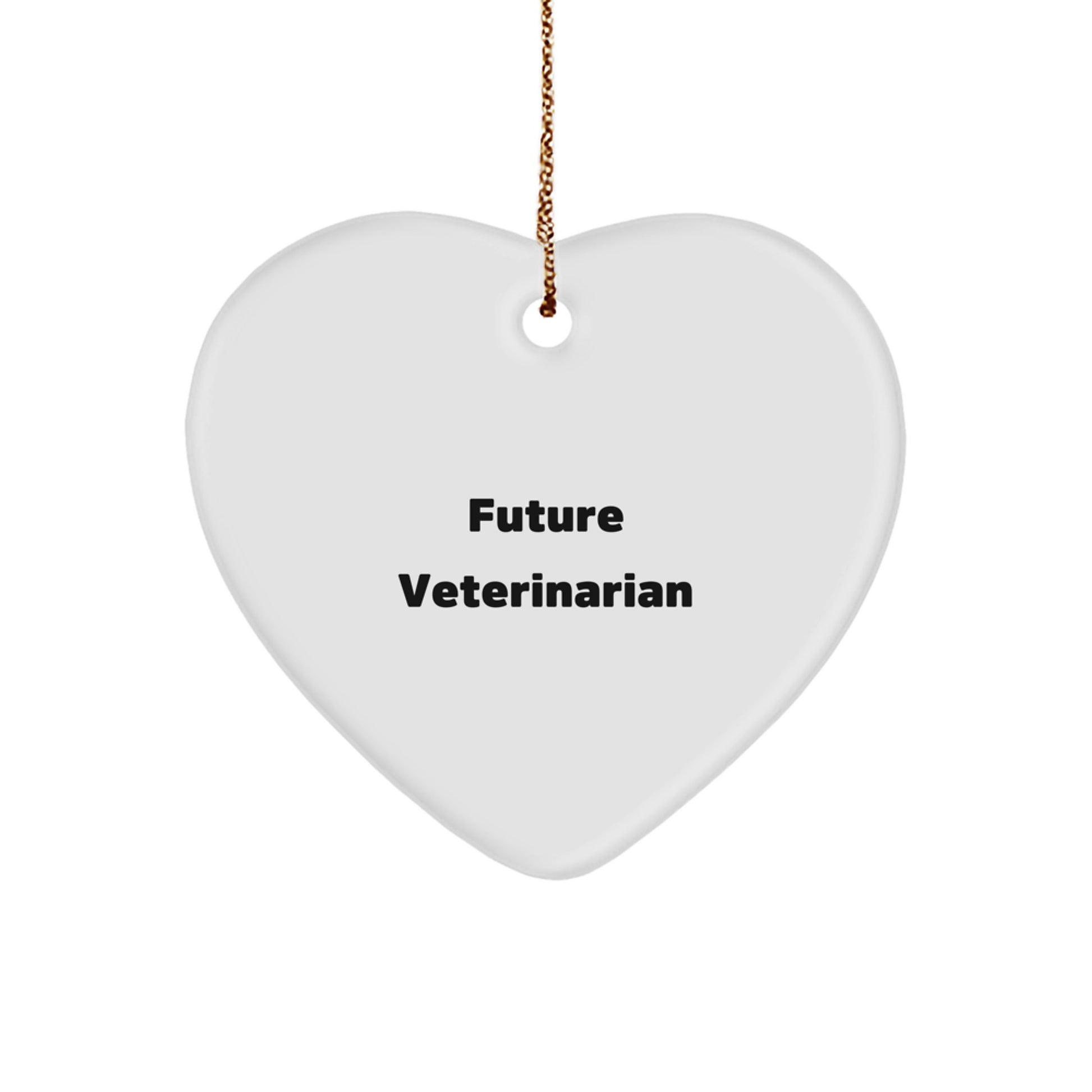 Funny Veterinarian Gifts from Future Veterinarians - Heart Ornament for Veterinarians on Christmas - Image 1