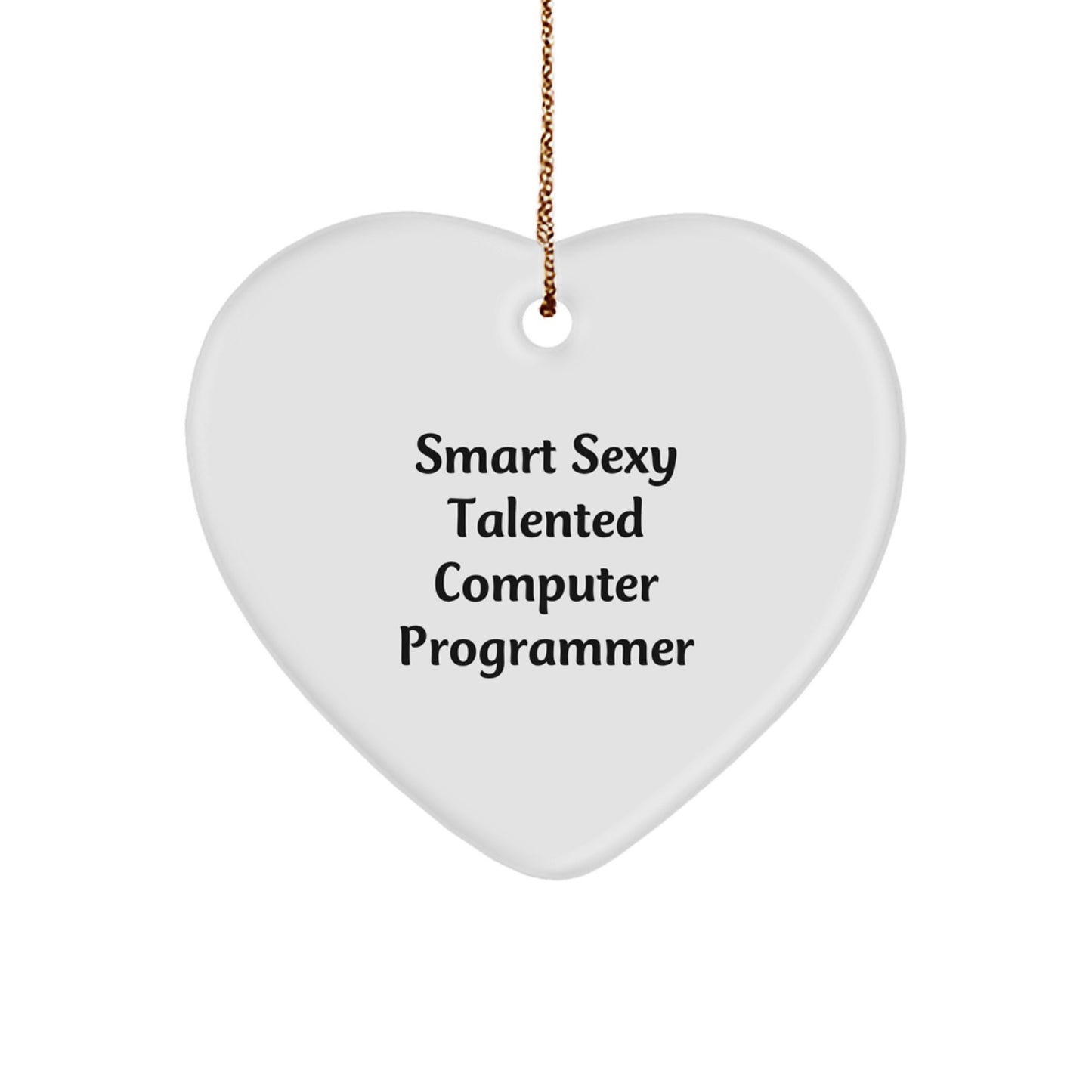 Smart Sexy Talented Computer Programmer Heart Ornament Gifts from Family to Computer Programmer Friends - Image 1