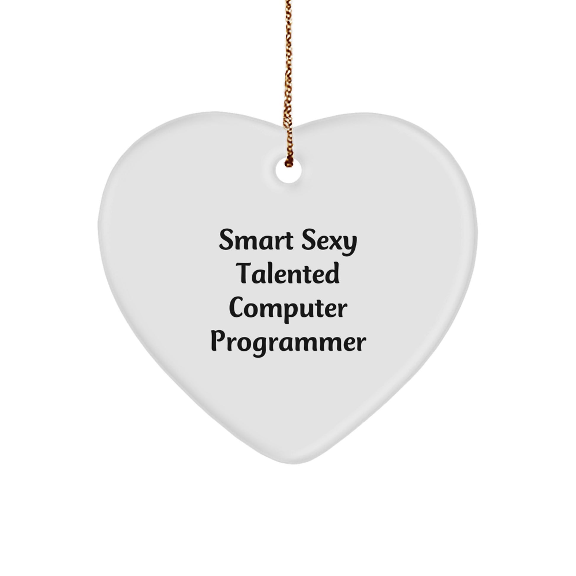 Smart Sexy Talented Computer Programmer Heart Ornament Gifts from Family to Computer Programmer Friends - Image 1