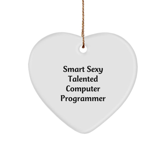 Smart Sexy Talented Computer Programmer Heart Ornament Gifts from Family to Computer Programmer Friends - Image 1