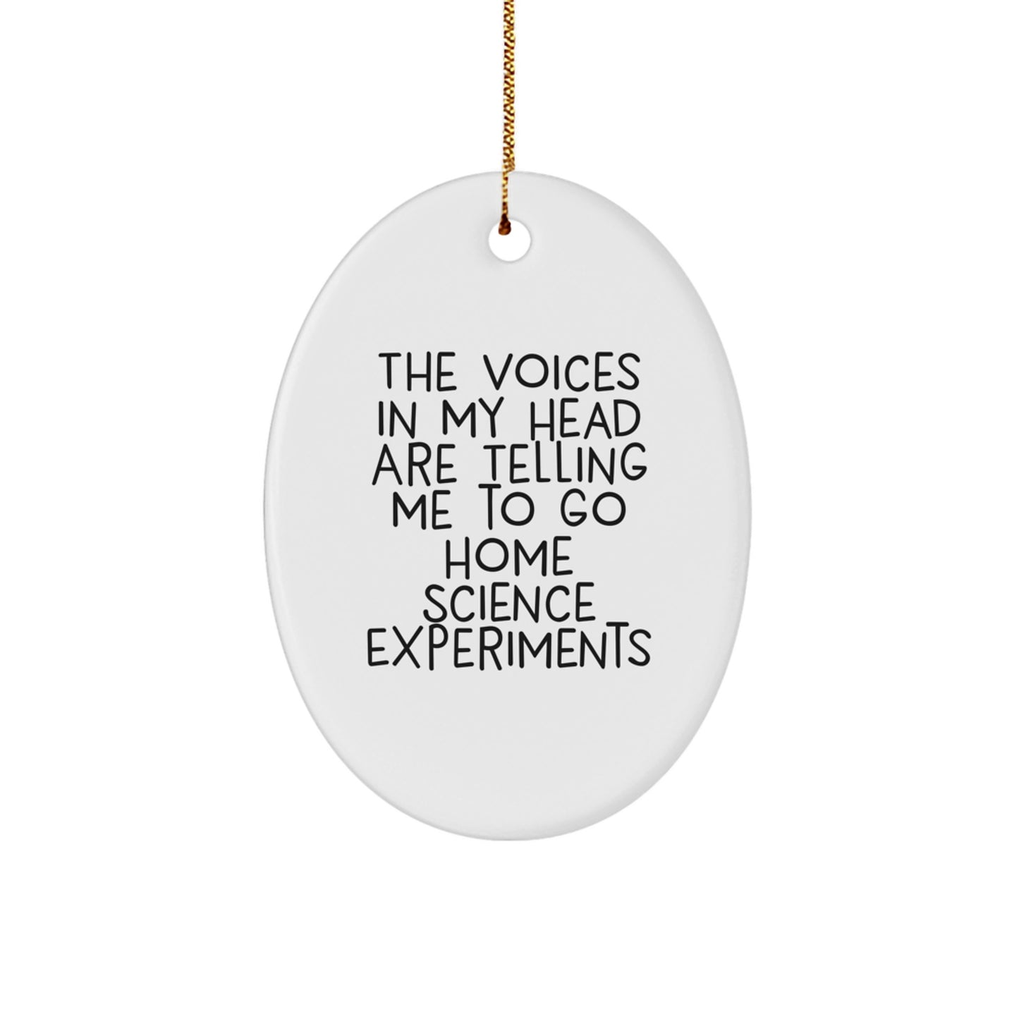 Funny Home Science Experiments Oval Ornament Gifts from Friends for Christmas, Inspiration from The Voices In My Head Are Telling Me To Go - Image 1