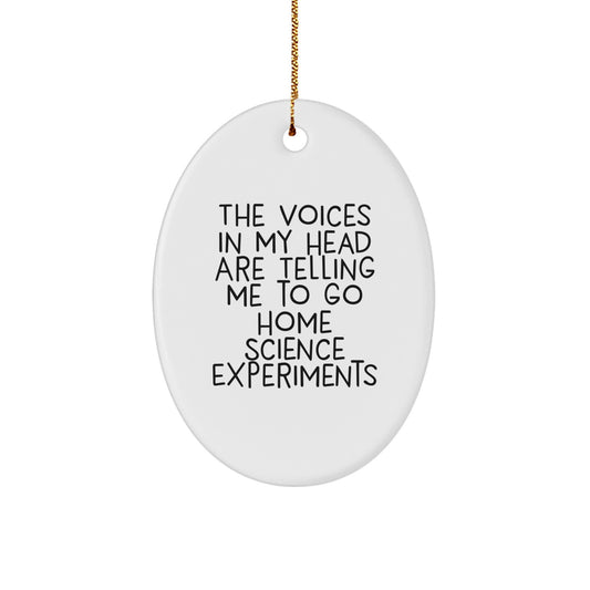 Funny Home Science Experiments Oval Ornament Gifts from Friends for Christmas, Inspiration from The Voices In My Head Are Telling Me To Go - Image 1