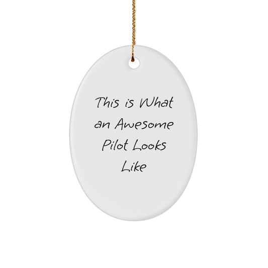 Funny Pilot Gifts for Men, This Is What An Awesome Pilot Looks Like Oval Ornament, White, 3.25'' Tall, Christmas Memorable Presents from Family - Image 1