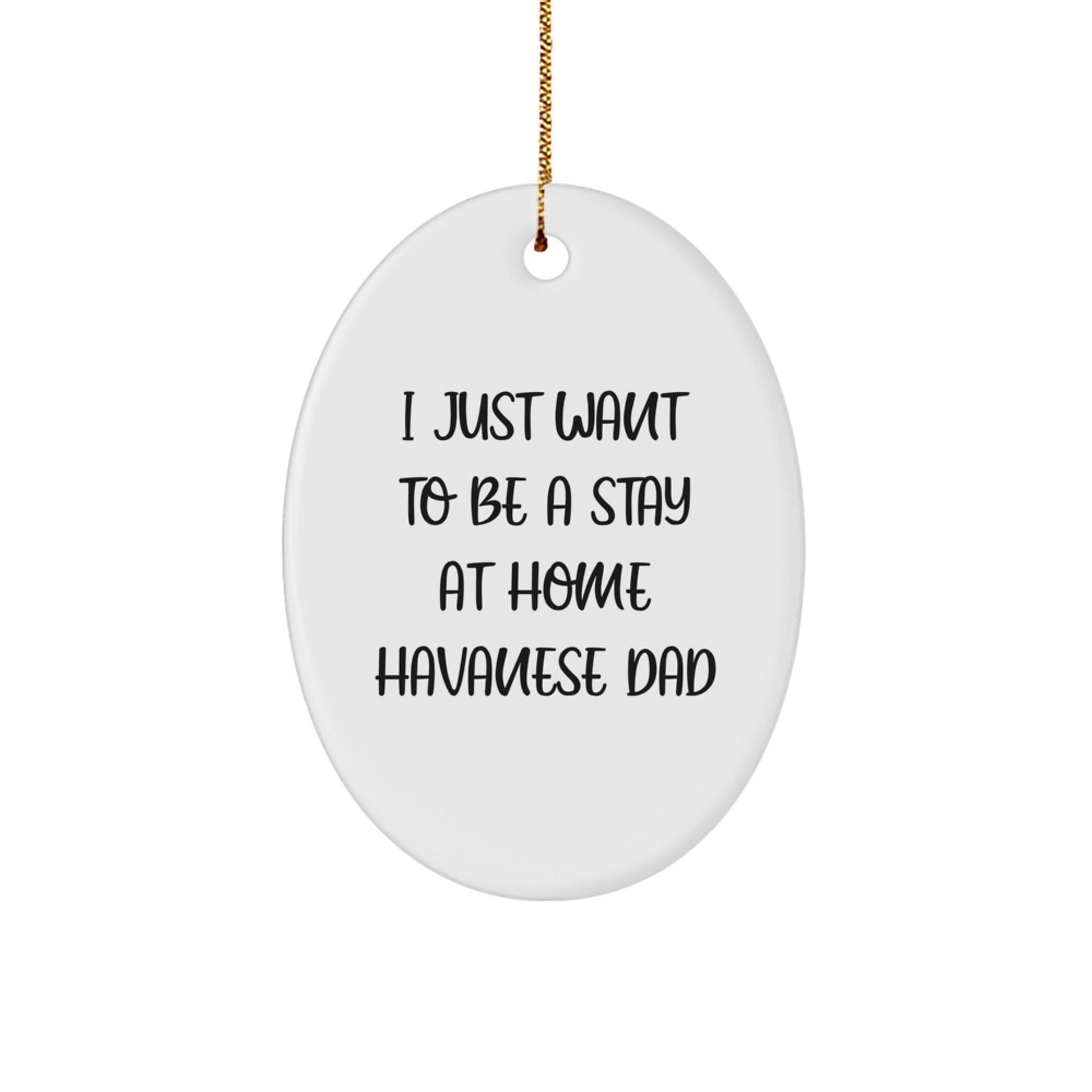 Funny Havanese Dog Dad Gifts, Oval Ornament for Christmas, 'I Just Want To Be A Stay At Home Havanese Dad' - Gifts from Dad for Havanese Dog Lovers - Image 1