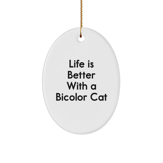 Bicolor Cat Lovers Gifts from Family, Funny Oval Ornament for Christmas, Life Is Better With A Bicolor Cat - Image 1