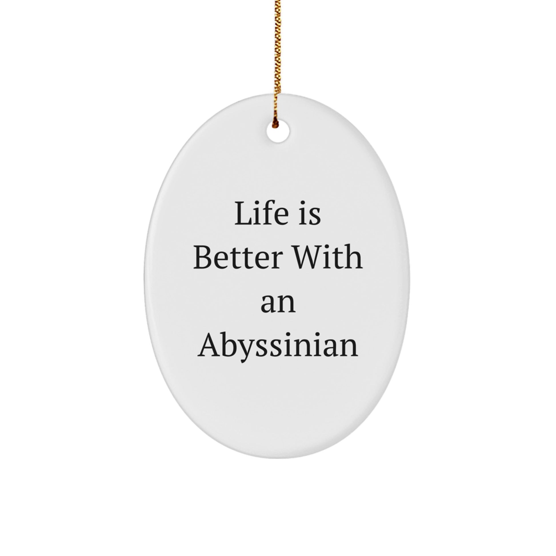 Abyssinian Cat Lovers Gifts from Friends and Family - Oval Ornament with Funny Quote 'Life Is Better With An Abyssinian' - Christmas Unique Gifts - Image 1