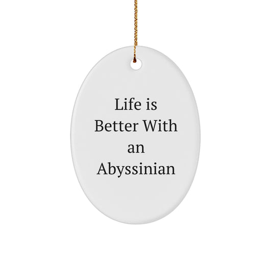 Abyssinian Cat Lovers Gifts from Friends and Family - Oval Ornament with Funny Quote 'Life Is Better With An Abyssinian' - Christmas Unique Gifts - Image 1