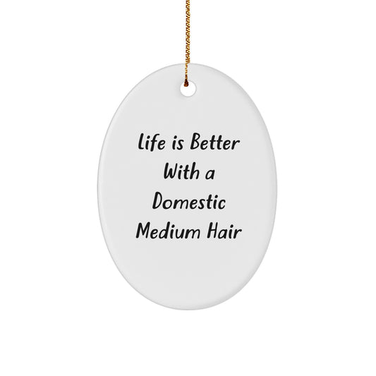 Domestic Medium Hair Gifts, Funny Quote, Oval Ornament, Christmas Unique Gifts from Friends, Gifts for Domestic Medium Hair - Image 1