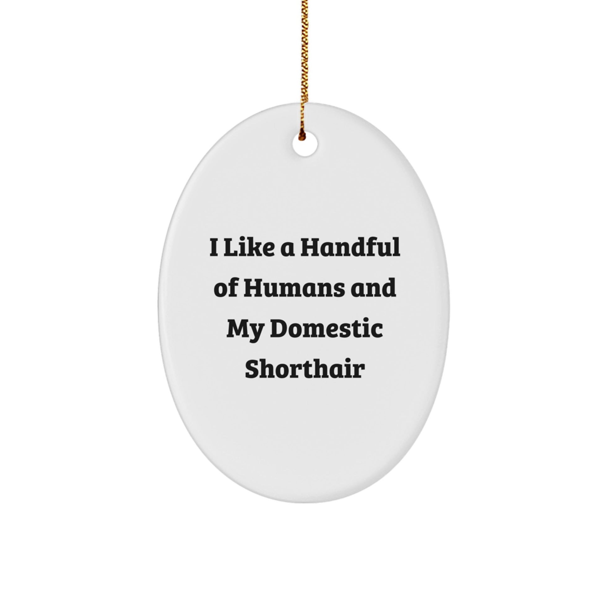 Domestic Shorthair Cat Gifts, Funny Quote Oval Ornament, Gifts from Friends for Cat Lovers, Unique Christmas Decor - Image 1
