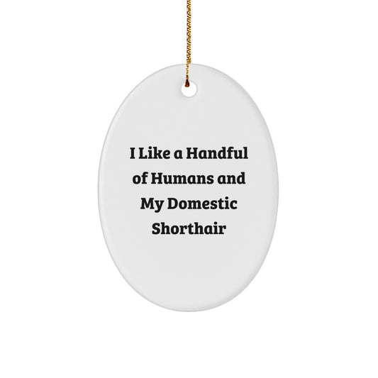Domestic Shorthair Cat Gifts, Funny Quote Oval Ornament, Gifts from Friends for Cat Lovers, Unique Christmas Decor - Image 1