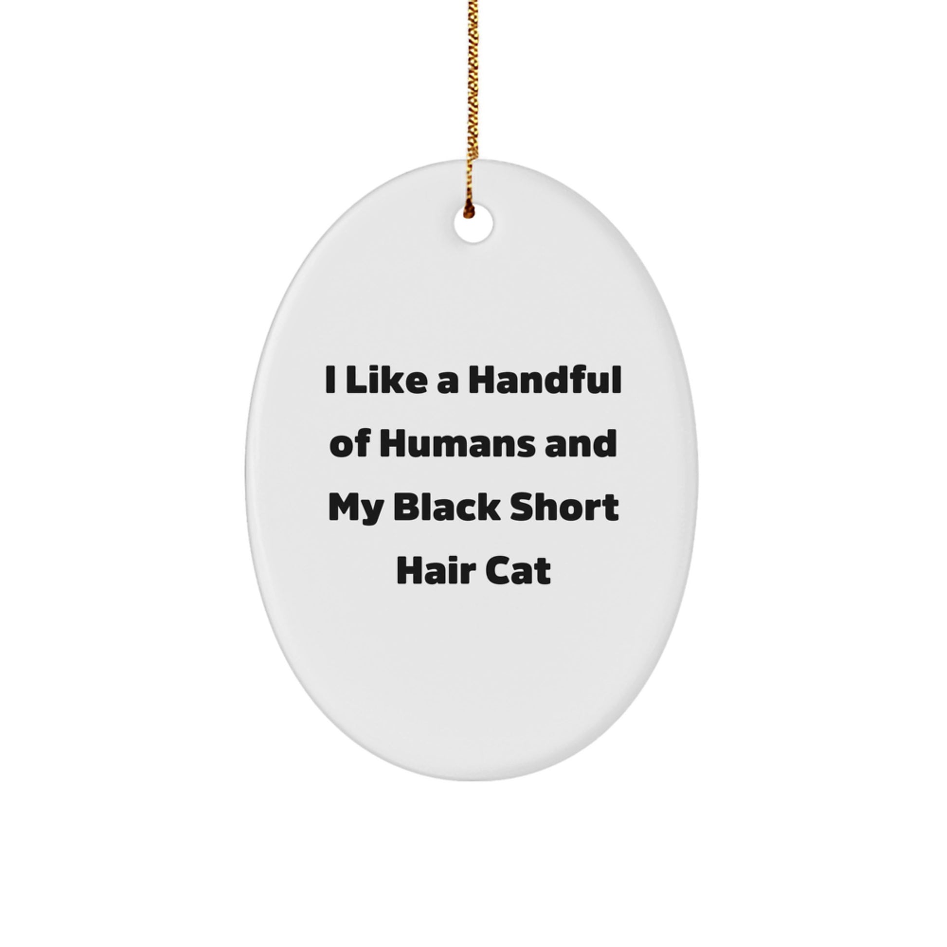 Black Short Hair Cat Lovers' Christmas Unique Gift - Oval Ornament with Funny Quote, Gifts from Friends to Family - Image 1