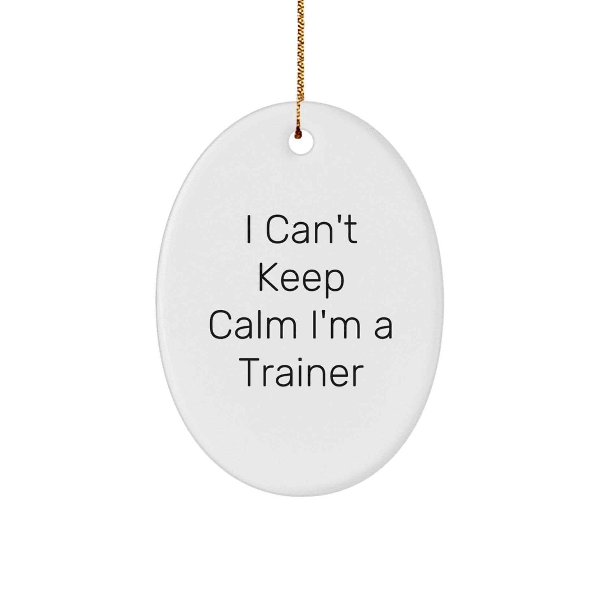 Funny Trainer Gifts for Men from Friends on Christmas - I Can't Keep Calm I'm A Trainer Oval Ornament - Image 1