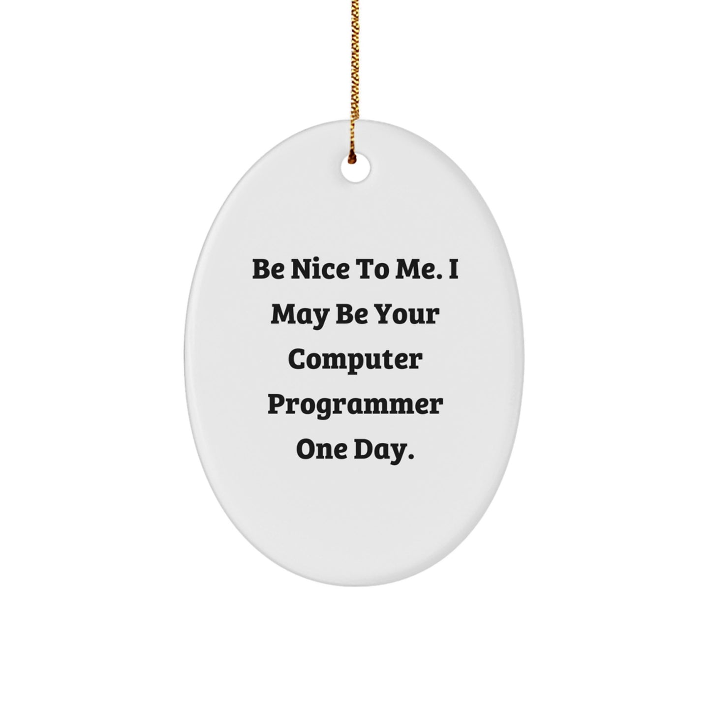 Funny Computer Programmer Gifts from Friends - Be Nice To Me Oval Ornament for Him, Computer Programmer, Unique Christmas Unique Gifts for Coworkers, Family - Image 1