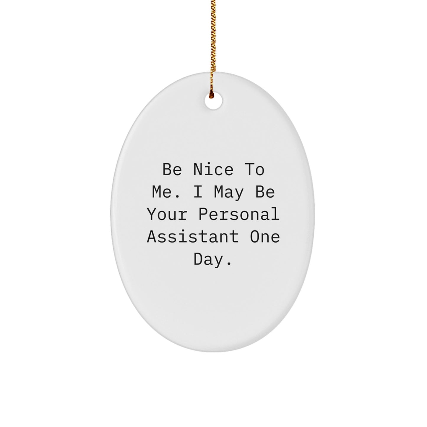 Funny Personal Assistant Gifts for Christmas, 'Be Nice To Me' Oval Ornament from Friends, Coworkers, Family, Gifts for Personal Assistants - Image 1