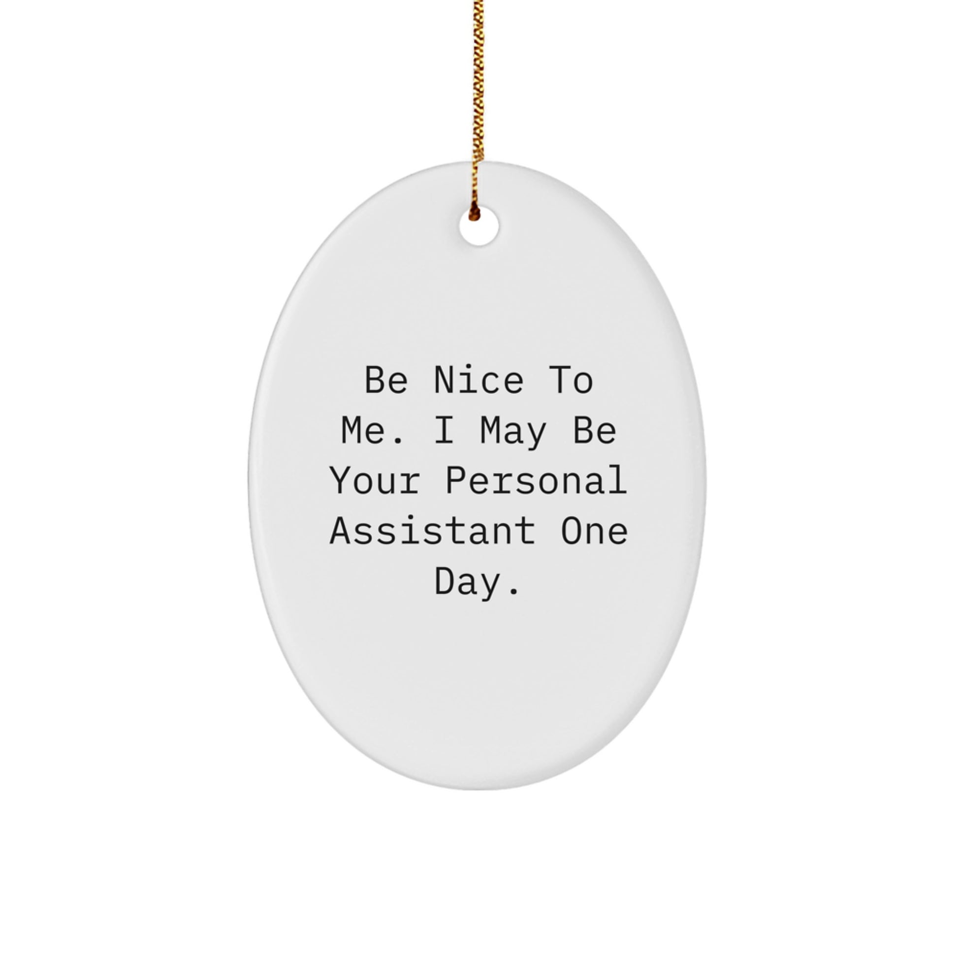 Funny Personal Assistant Gifts for Christmas, 'Be Nice To Me' Oval Ornament from Friends, Coworkers, Family, Gifts for Personal Assistants - Image 1