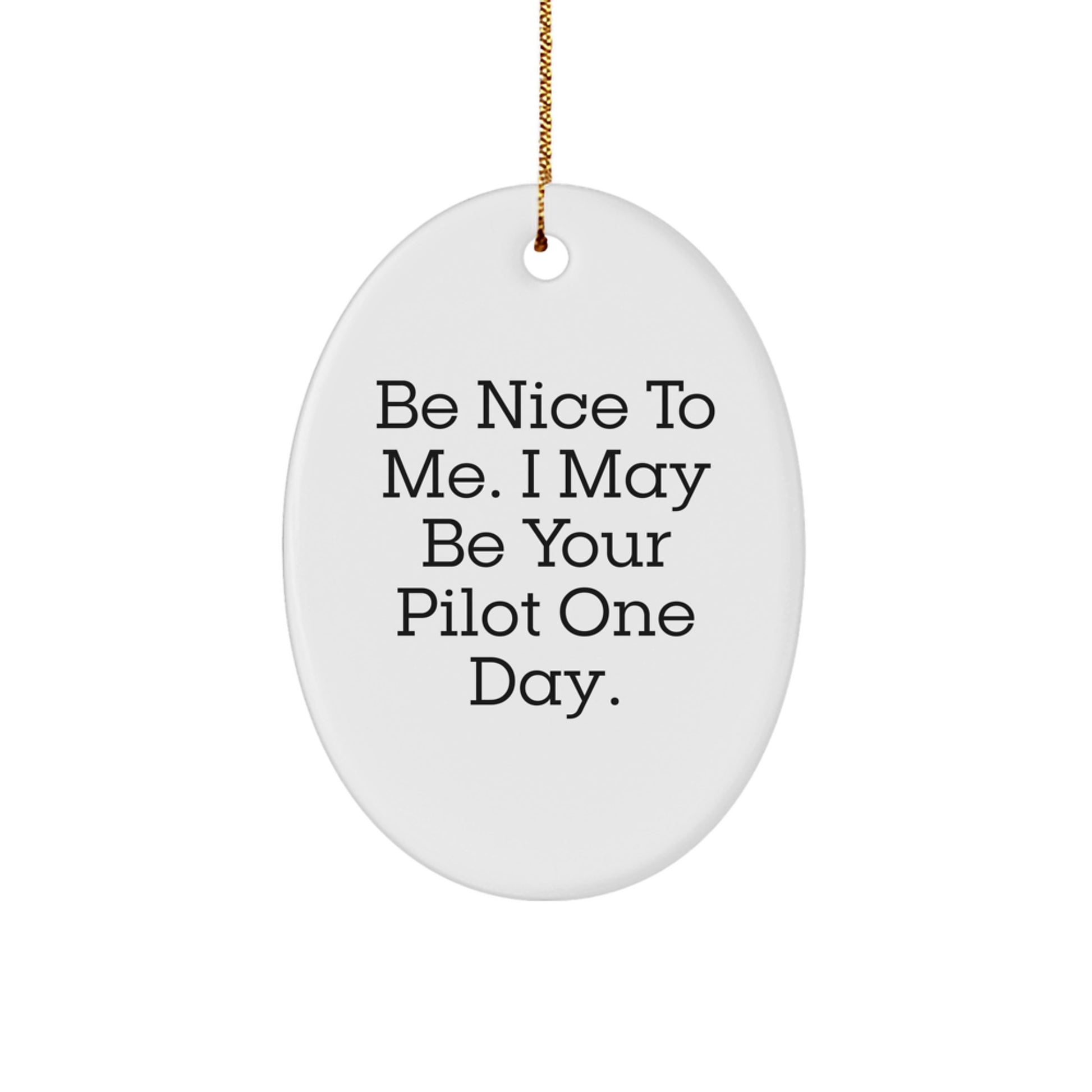 Funny Pilot Gifts from Friends and Family - Oval Ornament with 'Be Nice To Me. I May Be Your Pilot One Day.' Quote for Christmas - Image 1