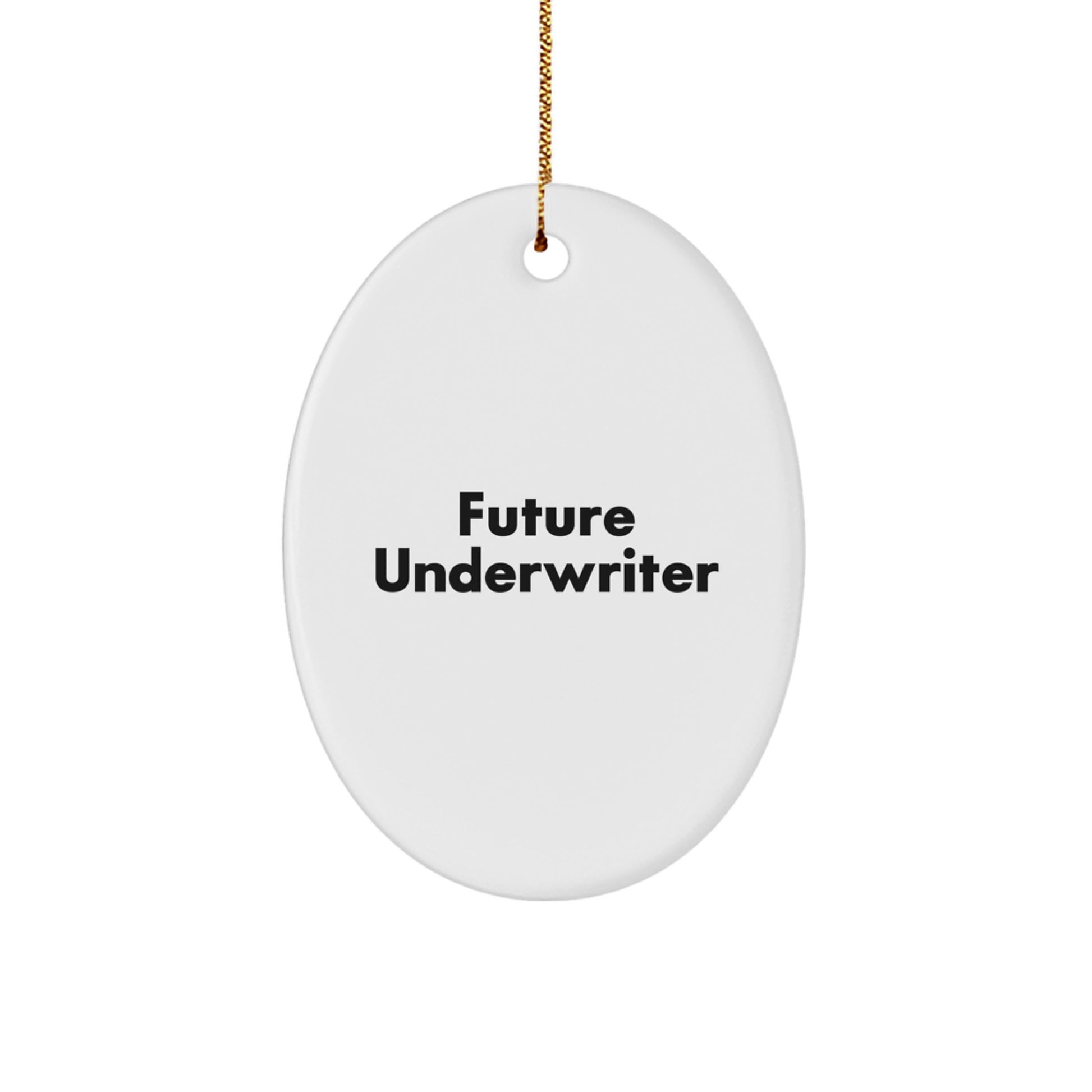 Funny Future Underwriter Quote Oval Ornament Gifts for Underwriters, Men, Women, and Friends, Christmas Unique Gifts from Family, Coworkers - Image 1