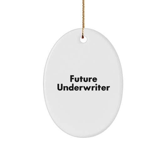 Funny Future Underwriter Quote Oval Ornament Gifts for Underwriters, Men, Women, and Friends, Christmas Unique Gifts from Family, Coworkers - Image 1