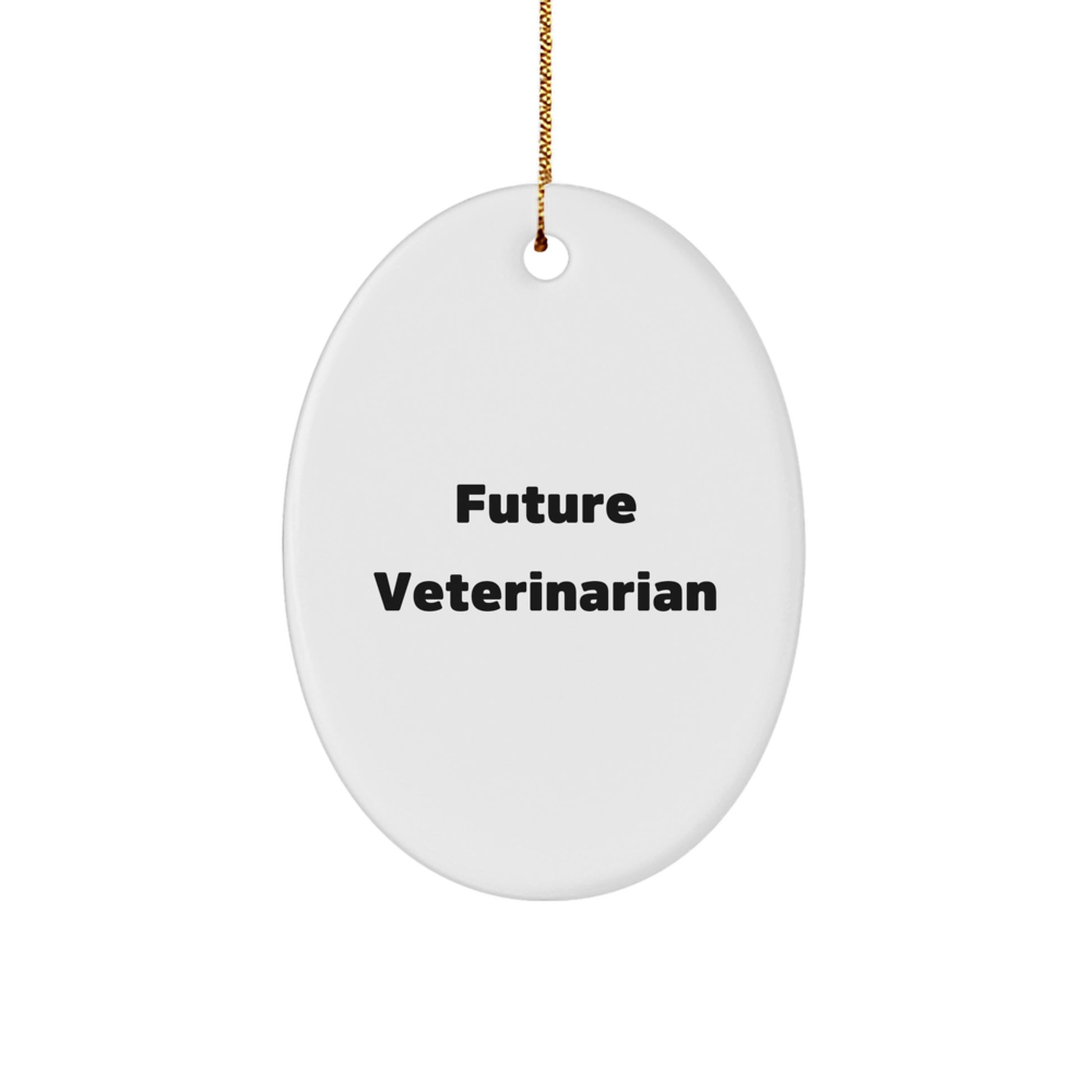 Funny Veterinarian Gifts for Future Veterinarian Christmas Oval Ornament - 'To the Future Veterinarian' Quote Gifts from Family - Image 1