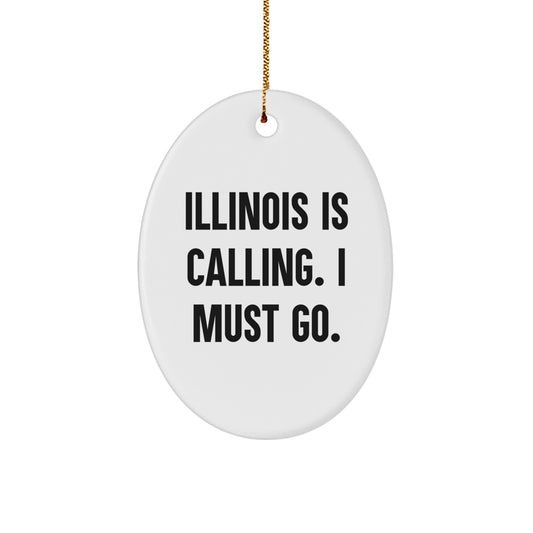 Illinois Gifts from Friends, Family, or Coworkers - Oval Ornament with Funny Quote, Perfect for Christmas - Image 1