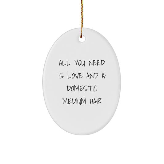 Love and Domestic Medium Hair Cat Gifts for Christmas - Oval Ornament for Friends and Family - Image 1