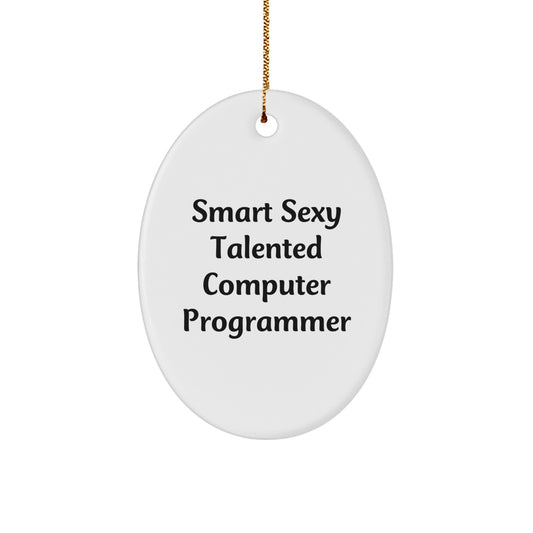 Computer Programmer Gifts, Funny Quote Oval Ornament, Gifts from Friends for Men, 3.25 x 1/8 inch Durable MDF, Sublimation Print, Christmas Unique Gifts - Image 1