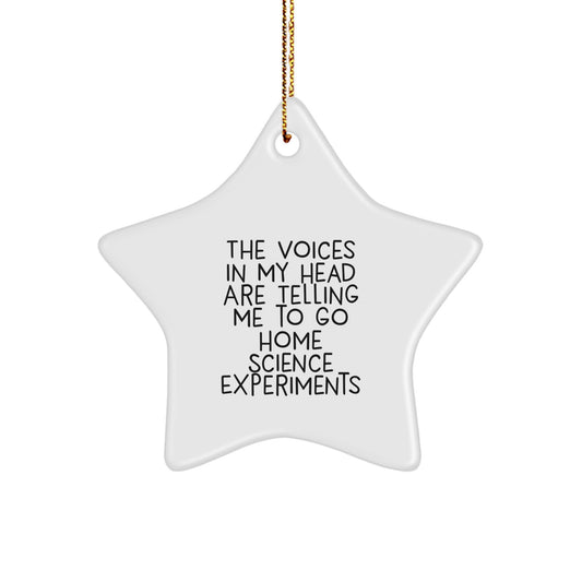 Home Science Experiments Gifts, Funny Quote Star Ornament, Durable MDF Materials, Vibrant Colors, Christmas Decorations for Friends and Family - Image 1
