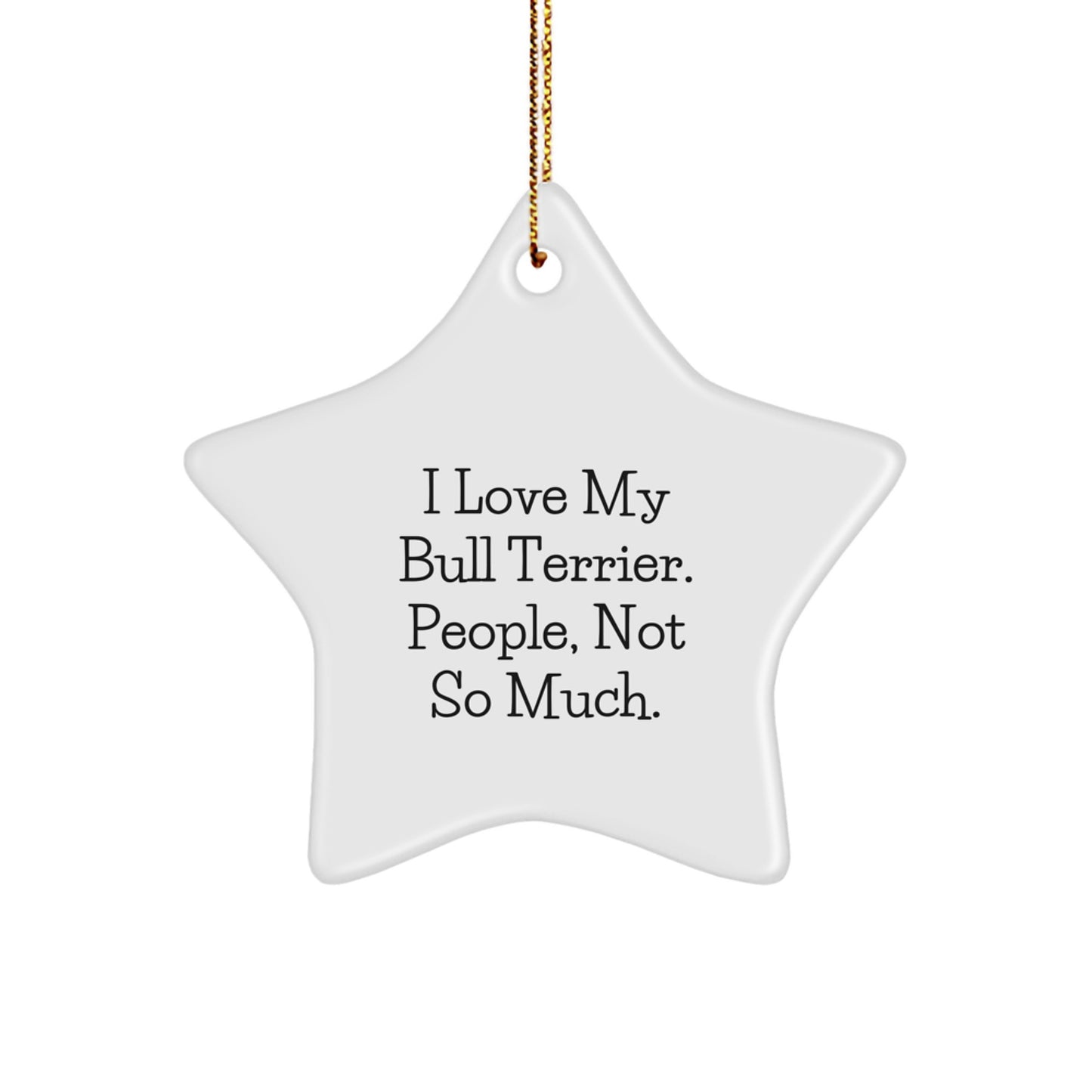 Bull Terrier Dog Lovers Star Ornament Gifts from Family and Friends, I Love My Bull Terrier. People, Not So Much. Christmas Unique - Image 1