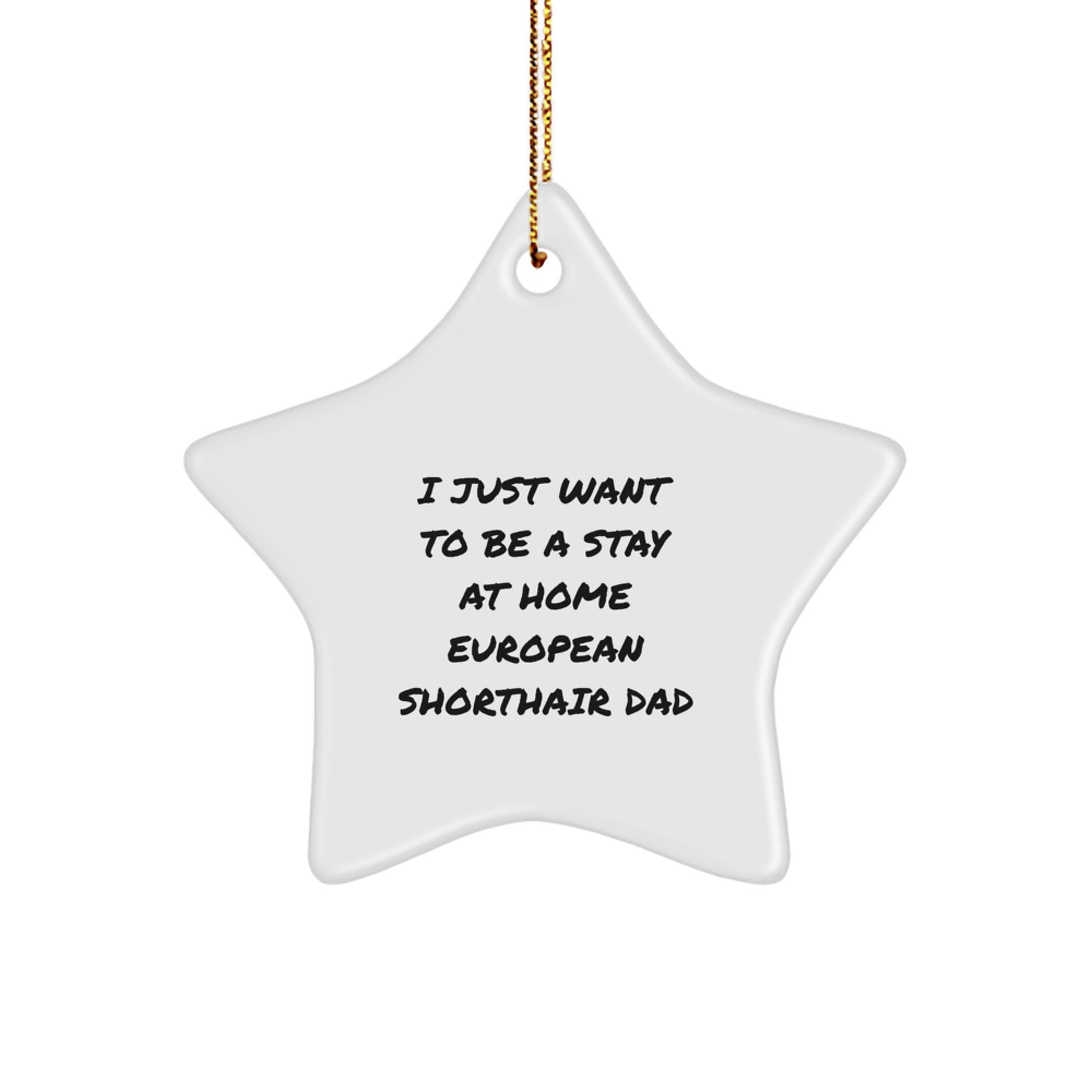 European Shorthair Cat Dad's Funny Gift for Christmas - 'I Just Want To Be A Stay At Home European Shorthair Dad' Star Ornament, Gifts from Friends to Family - Image 1